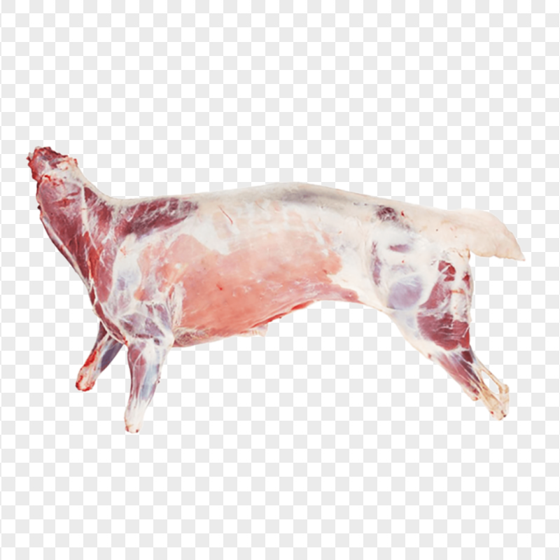 MUTTON